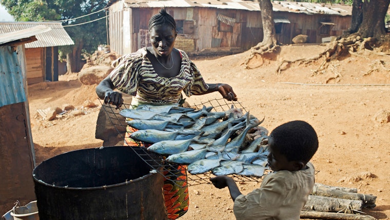 A beneficiary of a microcredit loan in George Brook, Freetown, Sierra Leone. Photo credit: © Aubrey Wade/Panos Pictures for the Open Society Foundations A woman and child carrying a rack of fish